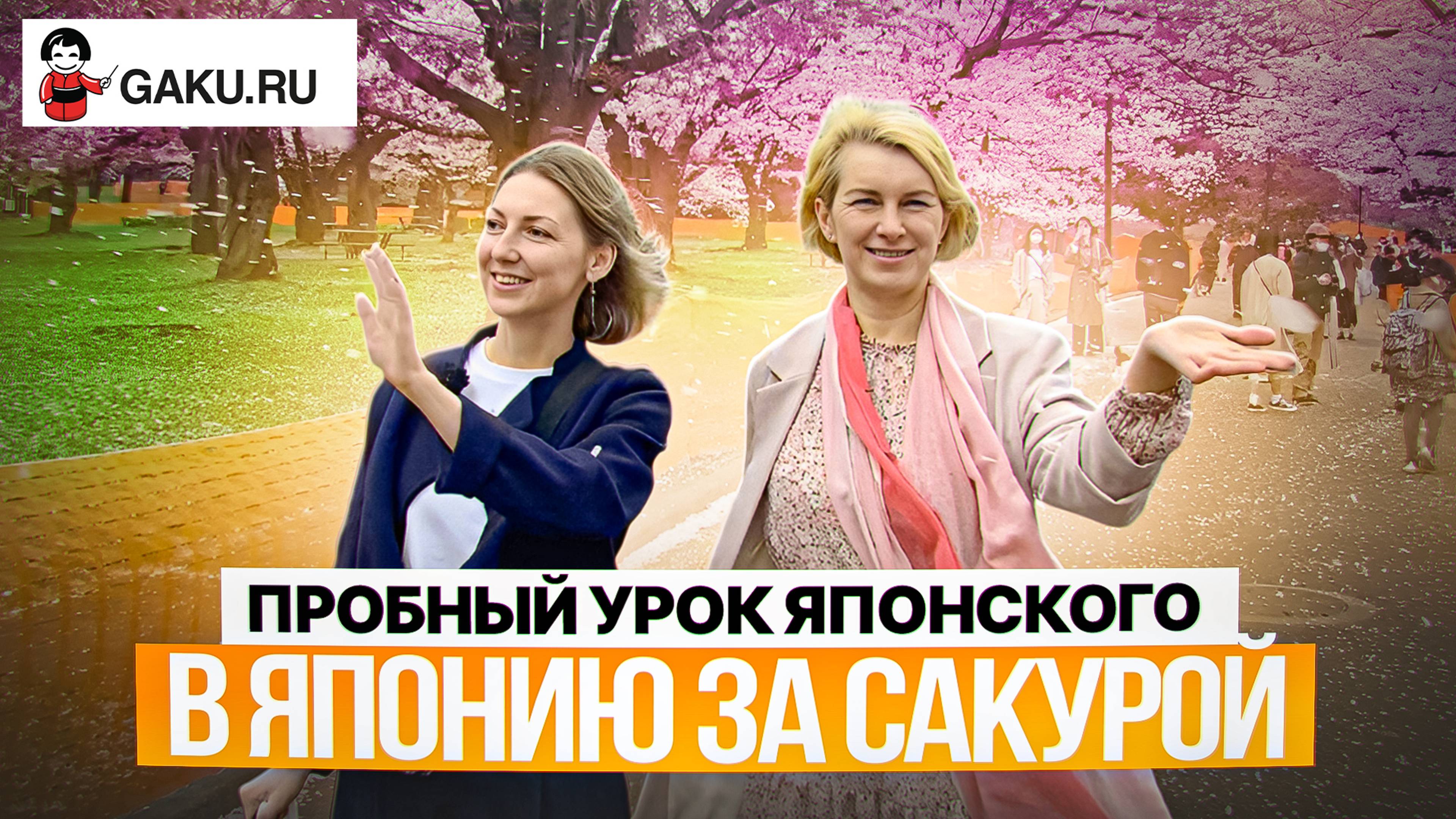 Обучение в Японии. Пробный урок японского языка на тему "Сакура".