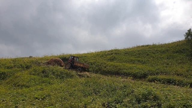 Как работает трактор Т 16 на холмах? 👍👍👍 смотреть онлайн