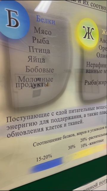Когда на диете, что есть?!