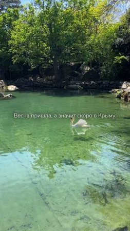 Весна в Крыму