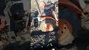 Кубота в 6000 копка картофеля вибрационной картофелекопалкой.