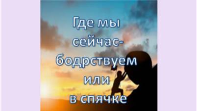 где мы  сейчас-бодрствуем или в спячке