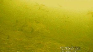 SUNP0144