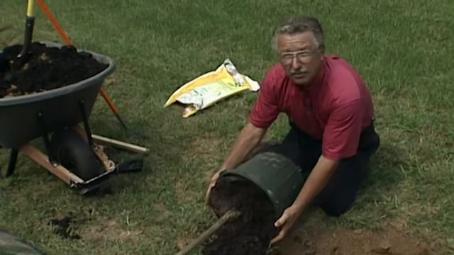 Planting a Tree - The Great Outdoors смотреть онлайн