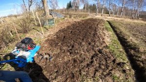 Открытие сезона. Мотоблок Нева пашет мокрый огород в 6 фрез.
