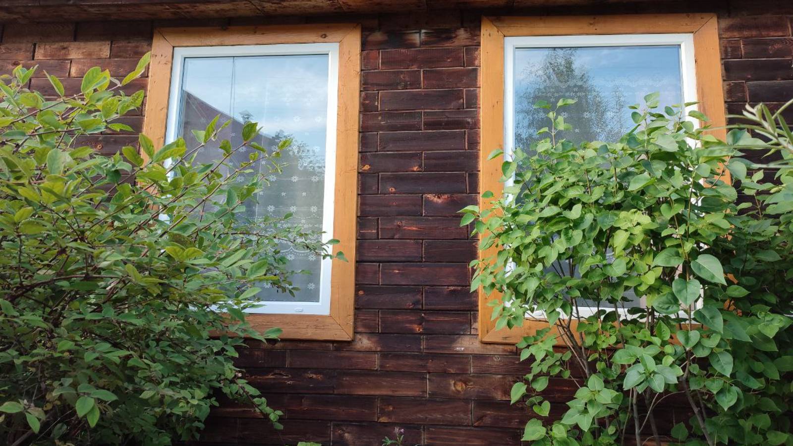 Ухоженная дача в экологически чистом месте смотреть онлайн