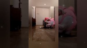 базовые элементы в стрип пластике