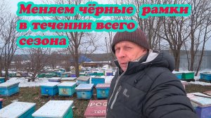 КАК ПОМЕНЯТЬ ЧЁРНЫЕ РАМКИ В ПЧЕЛОСЕМЬЕ, НАШ ОПЫТ РАБОТЫ.