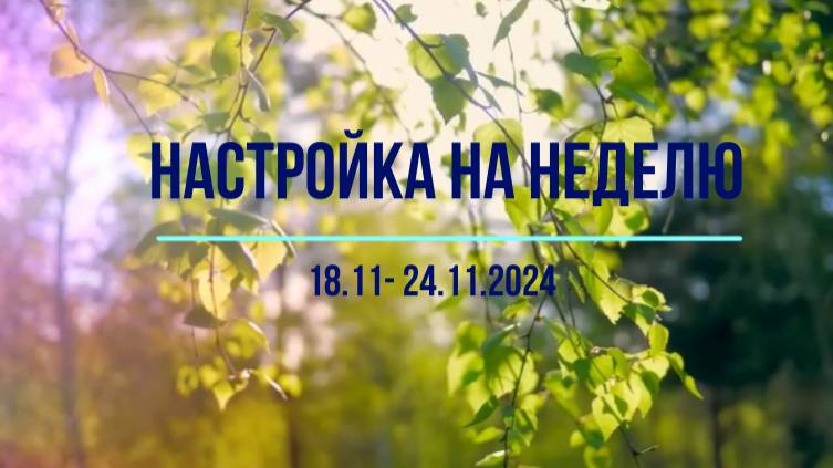 настройка на неделю 18.11- 24.11.2024 #психология #осознанность