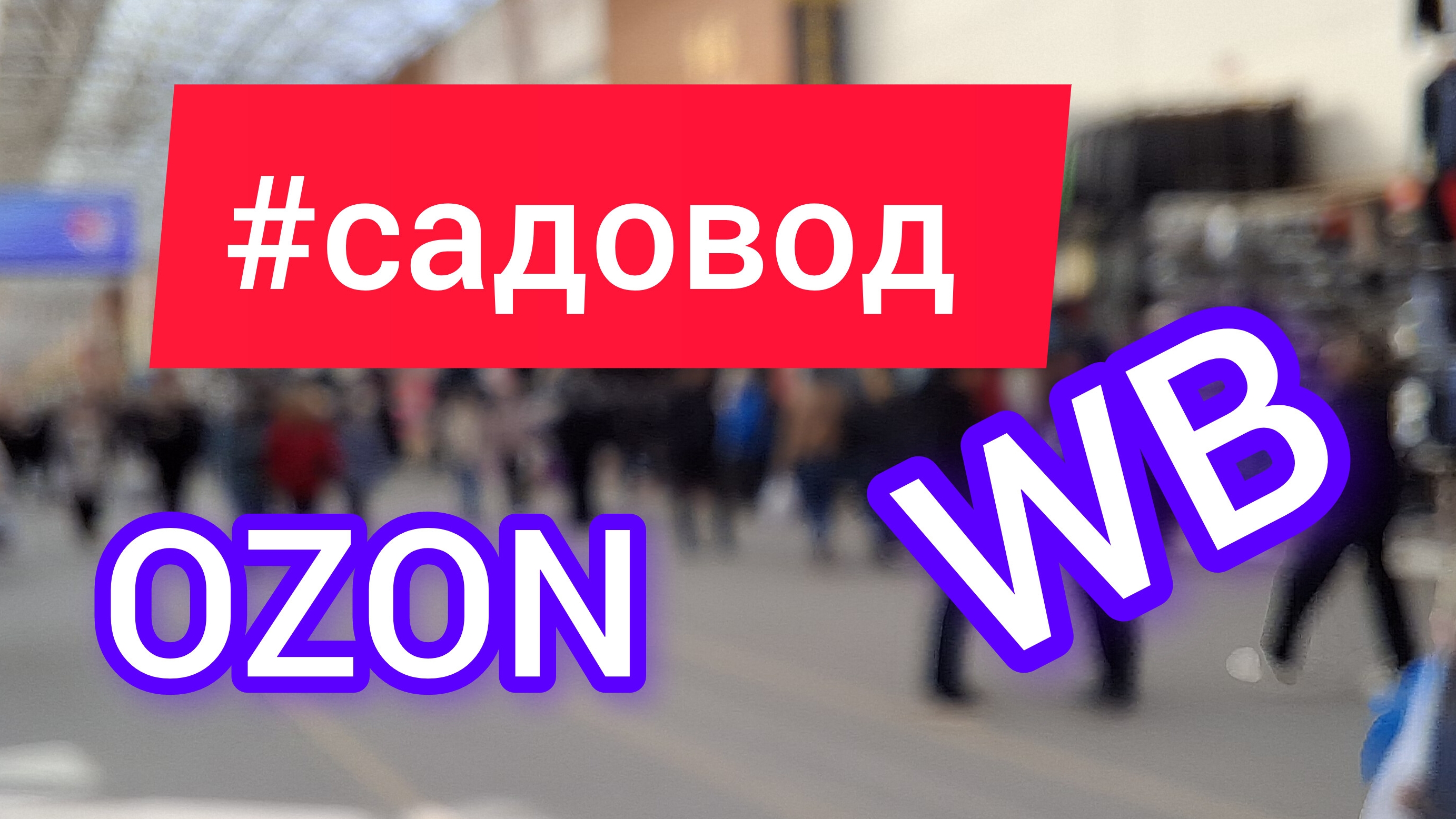 САДОВОД-КАК ОДИН РЫНОК ОДЕВАЕТ ВСЮ СТРАНУ/КОРОТКИЙ ОБЗОР РЫНКА САДОВОД