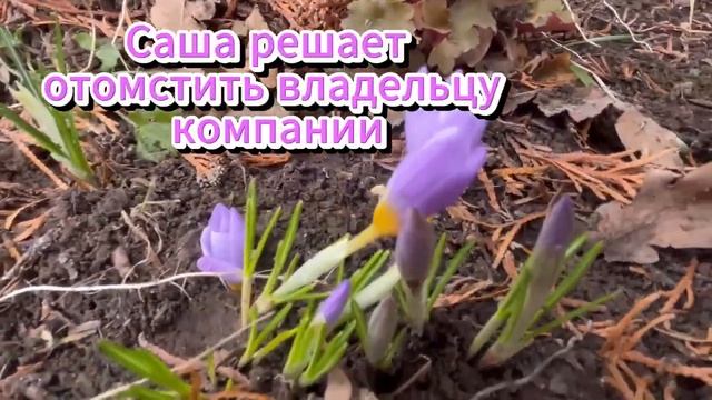 Постучись в мою дверь в Москве 1 60 серия  Премьера 2024 на ОККО