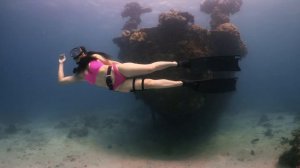 Apo Reef Scuba Diving in 4K, January 2023 Sony A7SIII
