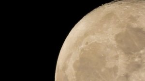 Полная Луна вчера | Nikon Coolpix P1000 | Higher Ground