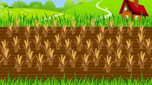 Откуда берется хлеб  Раскрашки анимашки  Мультфильм про трактор и комбайн  Наше всё!