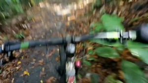 Manitou machete FORK TEST