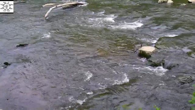 Uncle Steve Cliff Catches Three! смотреть онлайн