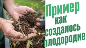 Органические процессы в почве.