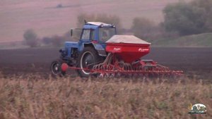 Мтз 82 брал перегруз в навесной сеялке от Мтз 952.2!Посев озимой пшеницы!