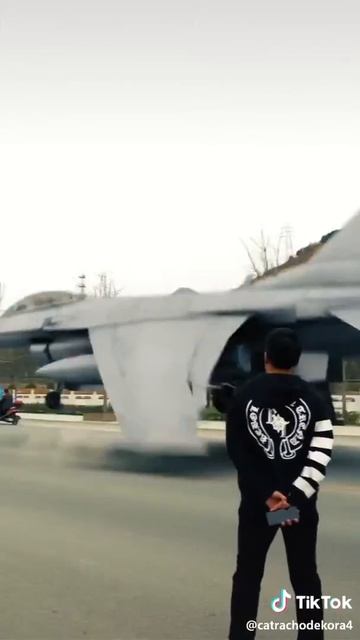 самолёт - птичка