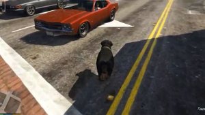 Майкл стал собакой. В ГТА 5