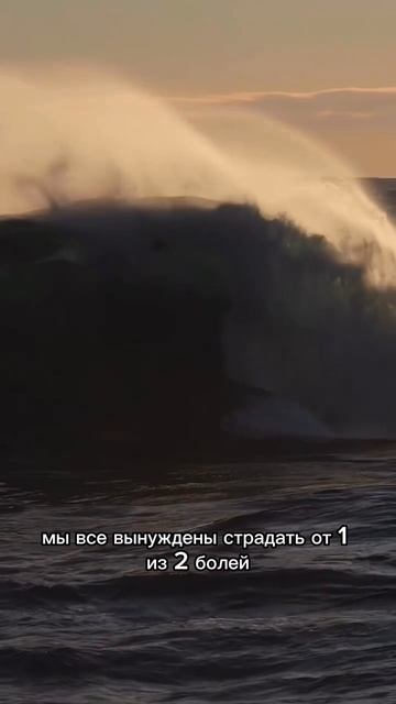Скачивай БЕСПЛАТНО в моем ТЕЛЕГРАМ канале видео и стикеры для оформления твоих сторис!