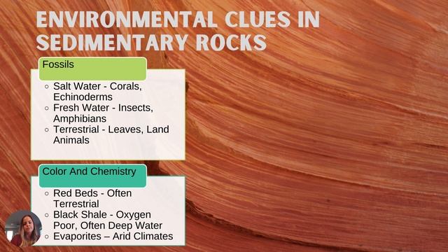 Earth Materials: Sedimentary Structures and Rock Identification
