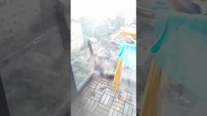 все нормально просто ястреб залетел на балкон