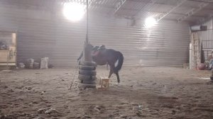 1000017628.mp4