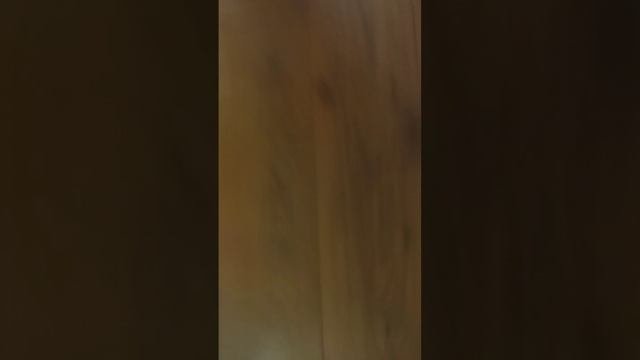 Бомж часть первая