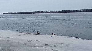 Иван Кучин*Чёрное прошлое *.На берегу большой реки., проводим выходные дни.