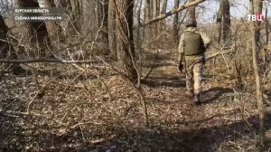 Завершается выдавливание противника из Курской области / События на ТВЦ