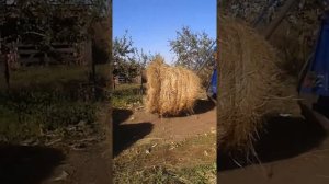 Погрузчик рулонов на заднюю навеску.