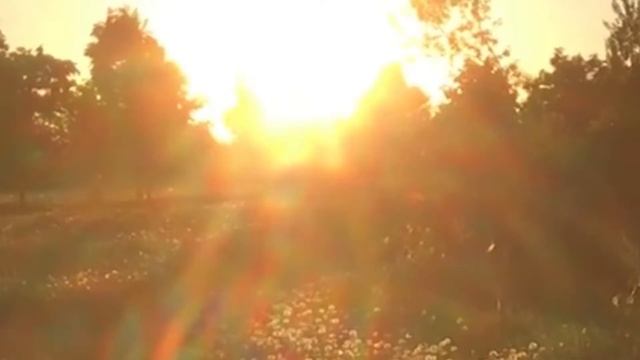 летняя спячка смотреть онлайн