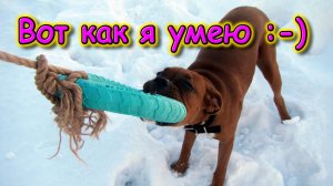 Мои выходные........ ))) (03.25г.) Семья Бровченко