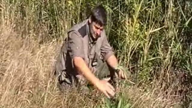 fekete nadálytő.wmv смотреть онлайн