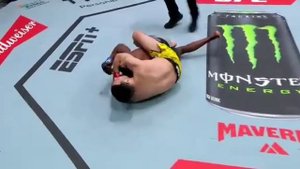 Лучшие моменты турнира UFC Вегас 104.