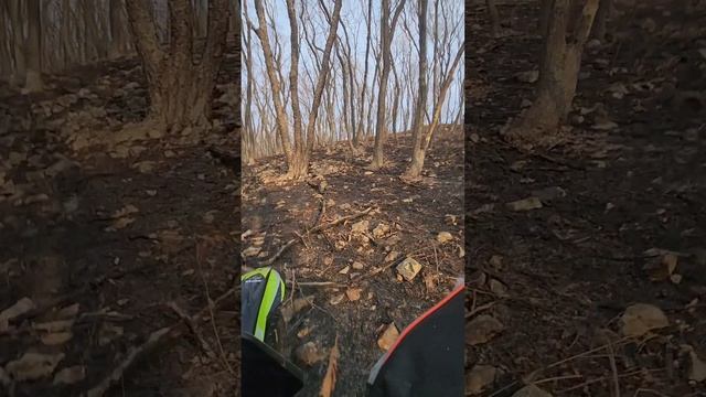 Жесткое вилли с горы вниз на Эндуро sport 003 смотреть онлайн