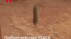 Принцип действия ОЗДС ИССАН-ОХРА-Д-333