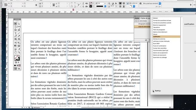 part 8 SESSION 1 l'utilisation pro d'Adobe InDesign смотреть онлайн