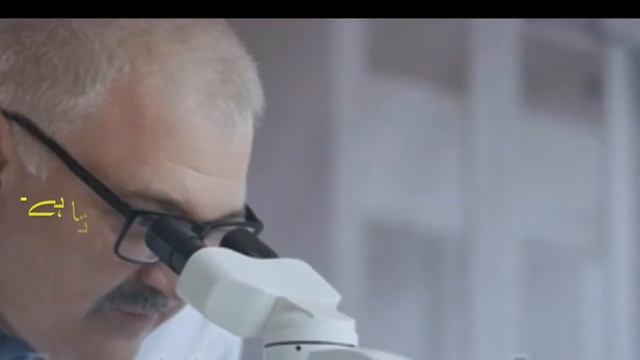 What causes numerous pus cells in urine? | What causes numerous Leukocytes in urine? Urdu
