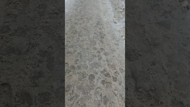 1 марта 2025 г., 11:00:50
ул. Газеты Звезда
VID_20250301_105758544