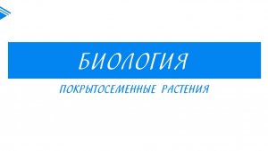 6 класс - Биология - Покрытосеменные растения