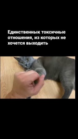 Согласны?)