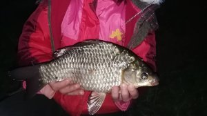 ВОТ ЭТО КАРАСЬ! Неожиданный финал!  #рыбалка #fishing #ловлякарася #карась