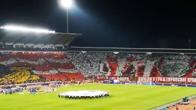 Red Star Belgrade Choreography Before Napoli CL Game смотреть онлайн