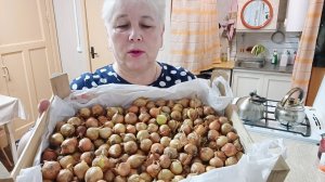 "Жизнь на пенсии".. Купила лук севок на посадку в теплицу.