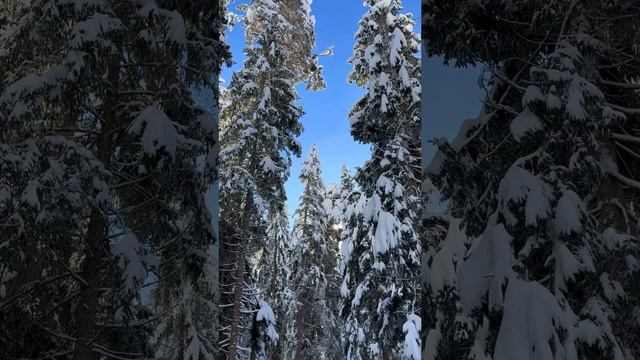 49 VACUUM - I breathe видеозалипалка