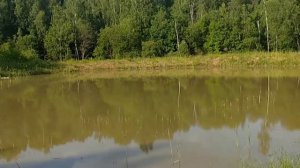 Мото мини дальняк 150 км. Лагерь для ночёвки.ч 3.