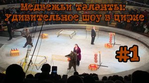 Медвежьи таланты Удивительное шоу в цирке #1 🐻🎪