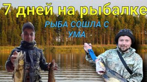 РЫБА СОШЛА С УМА\\НЕДЕЛЯ в ТАЙГЕ на рыбалке\\МОРЕ СУДАКА И ЩУКИ\\ С ДРУЗЬЯМИ В РЫБАЦКОЙ ИЗБЕ